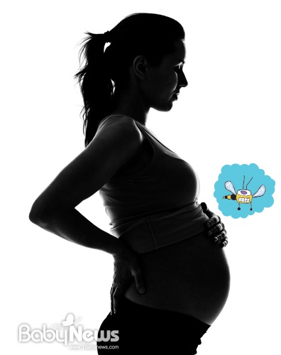가임기 여성이 지카바이러스 유행지역을 여행하고 왔다면 임신은 한 달 정도의 유예기간을 두는 것이 안전하다. ⓒ 베이비뉴스
