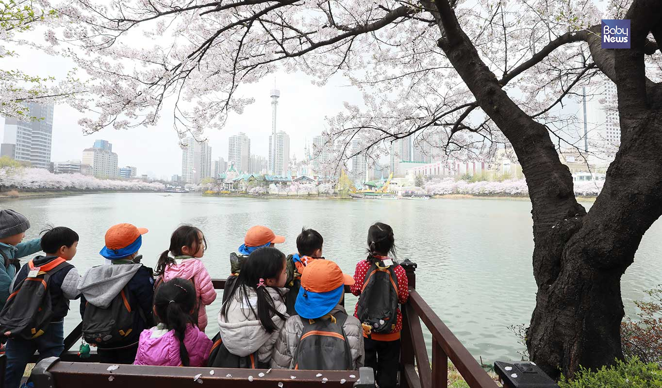 봄비가 그친 6일 오전 서울 석촌호수를 찾은 아이들이 벚꽃이 활짝 핀 호수를 감상하고 있다. 최대성 기자 ⓒ베이비뉴스
