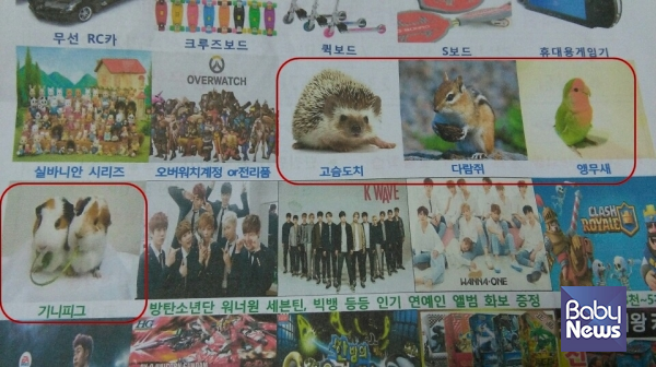 학원 홍보물 속 사은품 목록에는 고슴도치, 다람쥐, 앵무새, 기니피그가 들어 있다. ©베이비뉴스