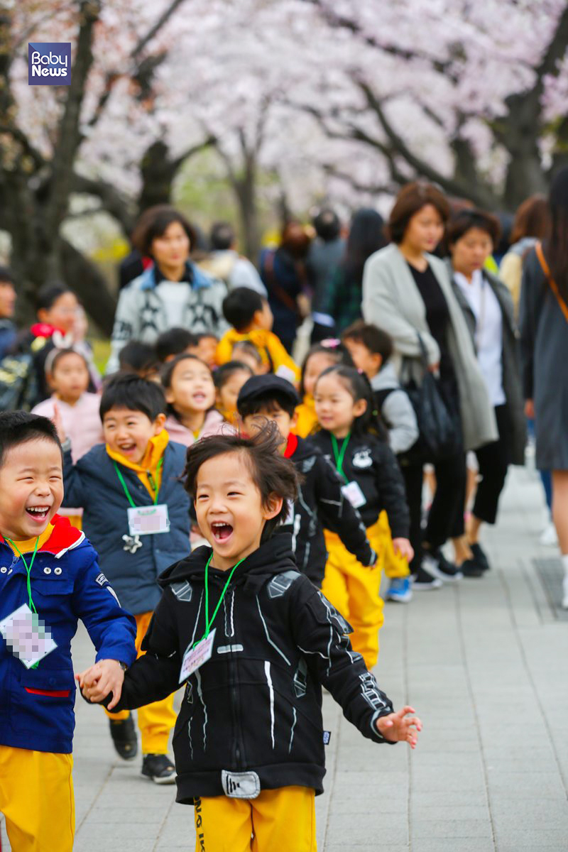 전국에 비 소식이 예고되어 있는 9일 윤중로 벚꽃길에 많은 아이들이 즐거워하며 길을 걷고있다. 김재호 기자 ⓒ베이비뉴스