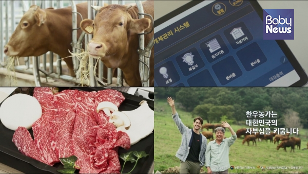 캠페인 광고 '한우 농가를 찾아서'. ⓒ한우자조금관리위원회