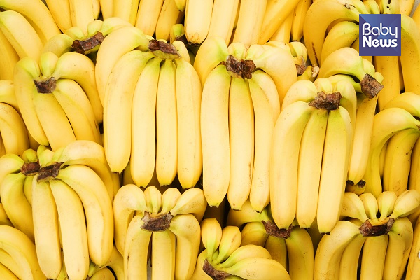 성인이 바나나를 즐겨 먹으면 복부 비만·고혈당·고중성지방혈증 등 대사 이상 위험이 25% 이상 감소하는 것으로 밝혀졌다. ⓒ한국식품커뮤니케이션포럼