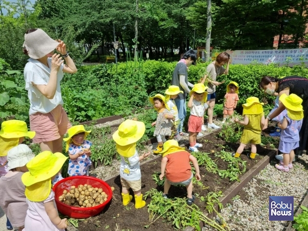 서울형 모아어린이집 원아들이 공동체 텃밭활동을 하는 모습. ⓒ서울시