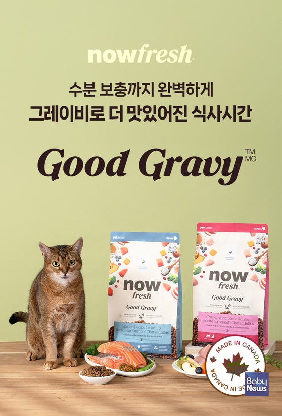 굿그레이비캣. ⓒ나우프레쉬