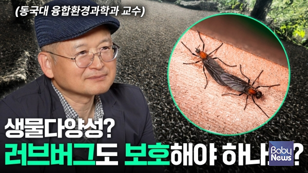 대담해_기후위기와 생물다양성 주제 전문가 대담 공개.