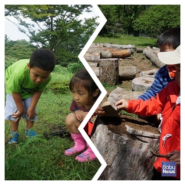 초등학생의 문해력 문제를 해결하기 위해 영유아교육을 학교식 독서교육으로 바꾸기보다, 아이들의 놀이권과 관계·경험 중심 교육을 보장하는 것이 유보통합이 지향해야 할 방향이다. ⓒ전인수