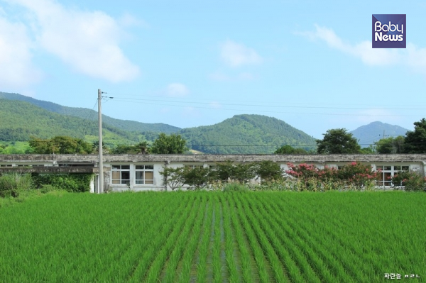 16년째 운영돼 온 국어사전 서재도서관 '말꽃 짓는 책숲, 숲노래'으로 운영되어 온 전남 고흥군 도화면 신호리에 있는 옛 흥양초등학교(1998년 폐교). ⓒ최종규