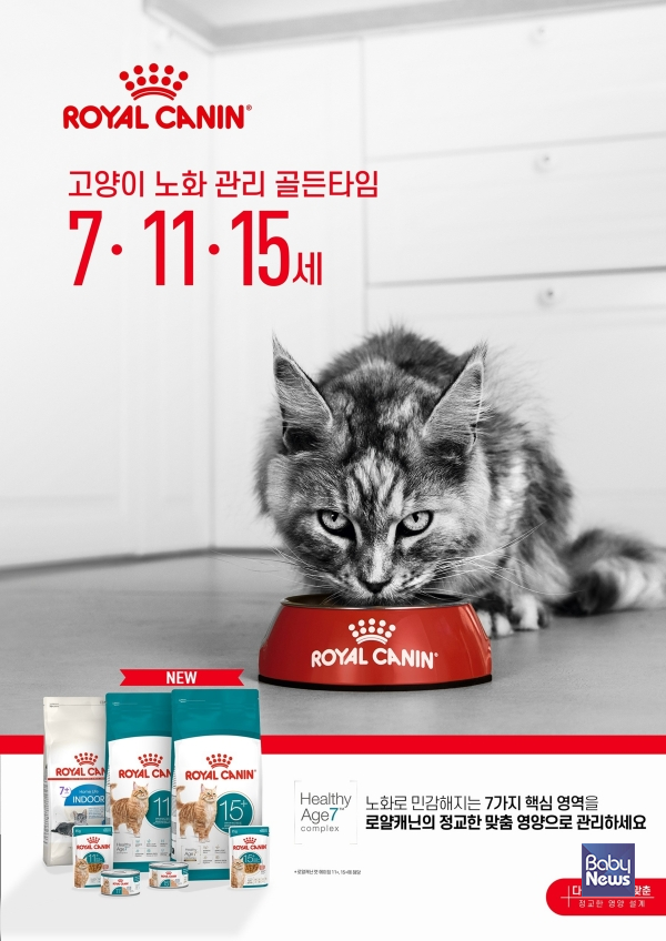 로얄캐닌, 반려묘 건강한 노화 위한 ‘에이징 캠페인’ 전개.