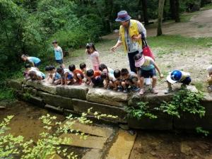 구리 동구릉 ‘왕릉 숲’에 유치원 생태교육 개설