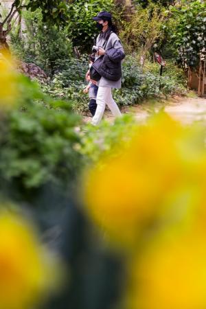 서울식물원은 '봄꽃 세상'
