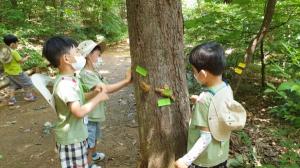 우리동네 유아숲체험원…“아이들 자연의 소중함 배울 수 있는 기회”