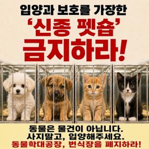 [펫뉴스] 신종 펫숍 논란… 동물보호단체들 “입양·보호 가장한 변칙 영업 금지해야” 外