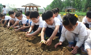 서울시, 농업체험프로그램 참여 어린이 3800명 모집