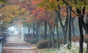 월미공원, '아름다운 숲 전국대회' 21개소에 선정