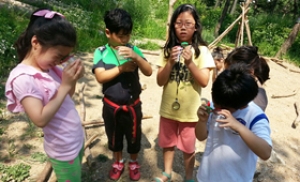 남산공원 유아숲체험장서 자연관찰·독서삼매경 즐겨요